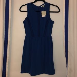 Royal blue Soprano dress lace detail NEW WITH TAGS
